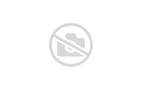 Поршень STIHL FS 120, 250 (40 мм)